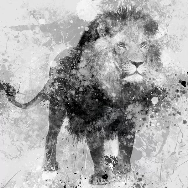 Large Black & White Art - Canvas Prints: Lion by Carol Robinson