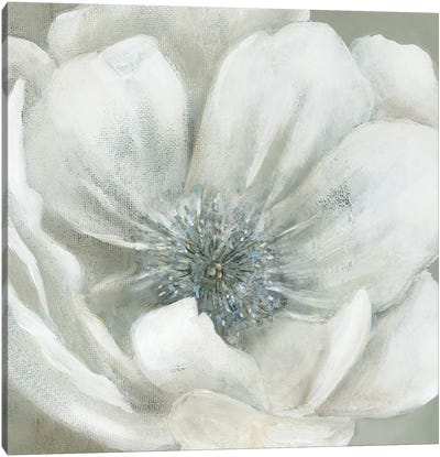Opalescence I Canvas Art Print - Gray & White Art