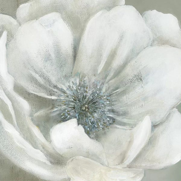 Shabby Chic Décor: Opalescence I by Carol Robinson