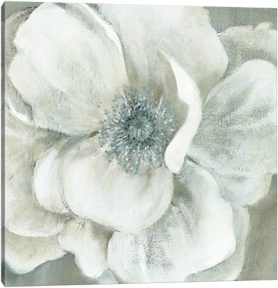 Opalescence II Canvas Art Print - Gray & White Art