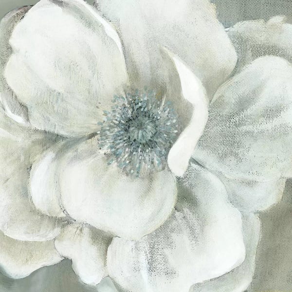 Shabby Chic Décor: Opalescence II by Carol Robinson