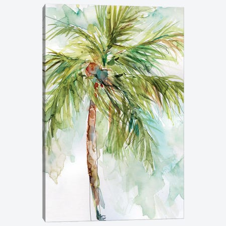 Palm Breezes I Canvas Print #CRO475} by Carol Robinson Art Print