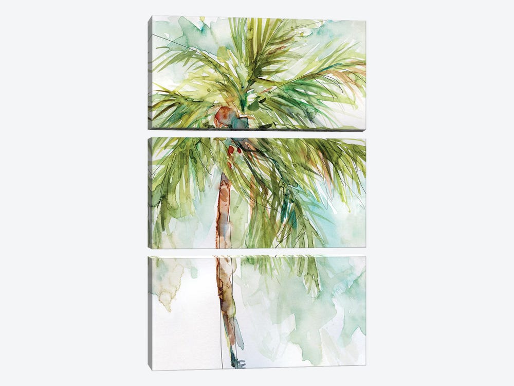 Palm Breezes I by Carol Robinson 3-piece Canvas Artwork