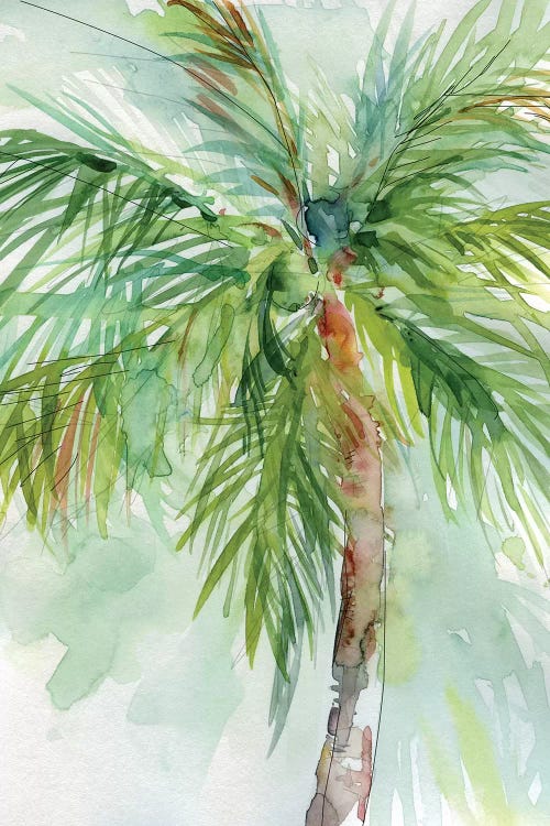 Palm Breezes II