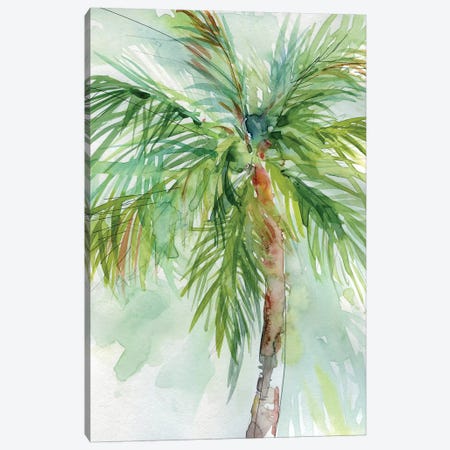 Palm Breezes II Canvas Print #CRO476} by Carol Robinson Canvas Print