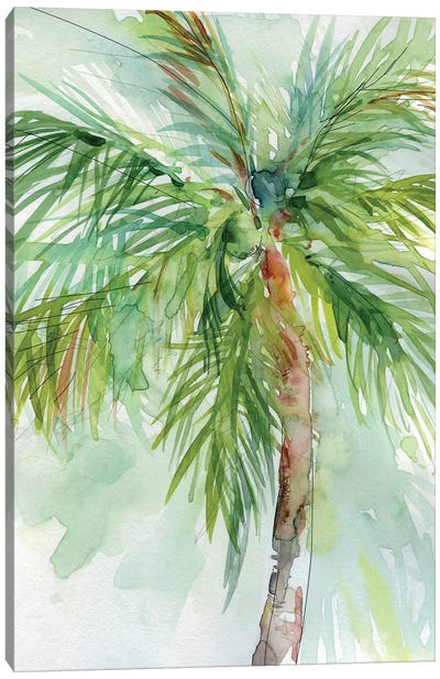 Palm Breezes II Canvas Art Print - Palm Tree Art