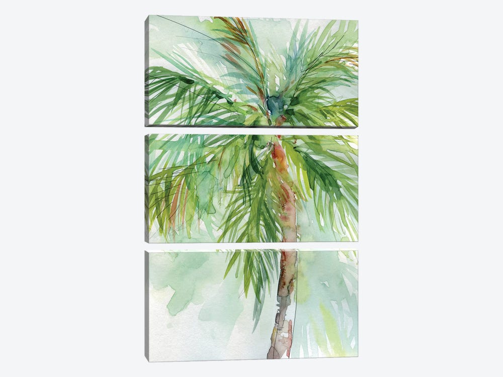 Palm Breezes II by Carol Robinson 3-piece Canvas Art Print