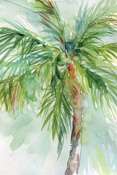 Green: Palm Breezes II by Carol Robinson
