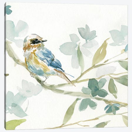 Spring Melody I Canvas Print #CRO478} by Carol Robinson Canvas Art