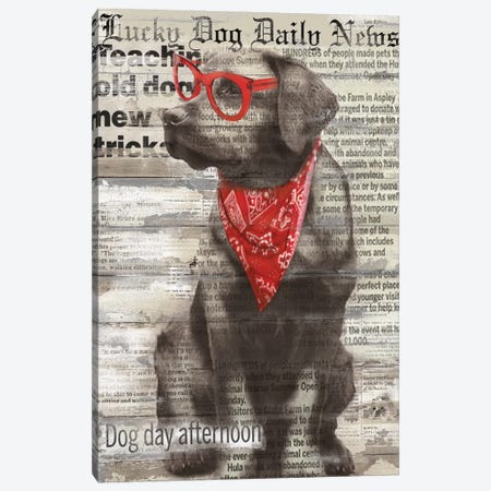 Lucky Dog Canvas Print #CRO47} by Carol Robinson Art Print