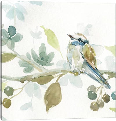 Spring Melody III Canvas Art Print - Bird Art