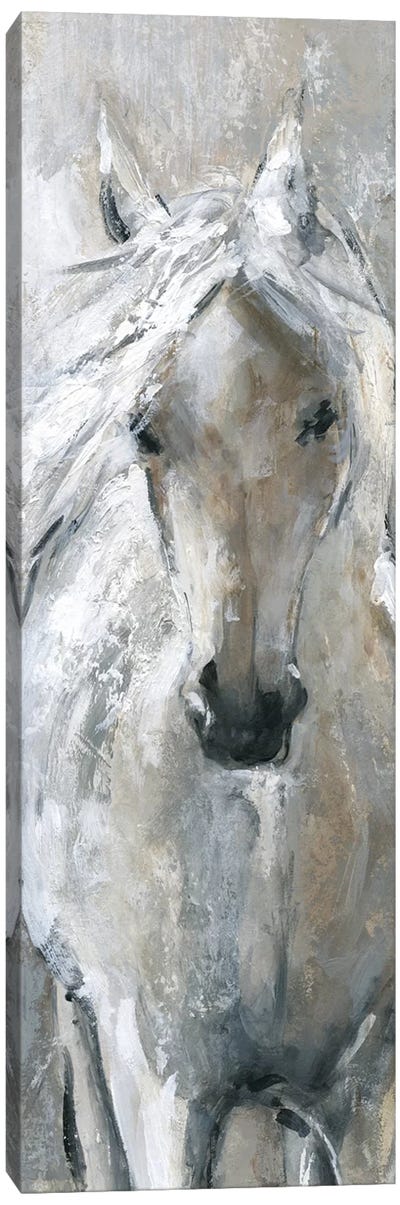 Standing Proud Canvas Art Print - Horses
