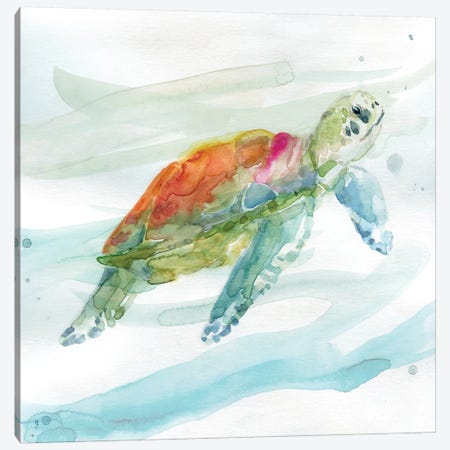 Turtle Tropics I Canvas Print #CRO482} by Carol Robinson Art Print