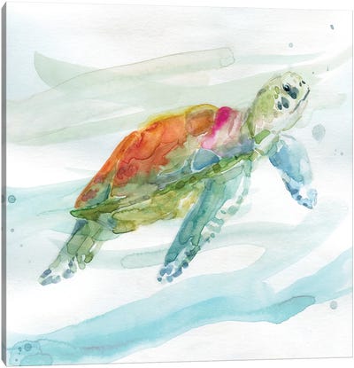 Turtle Tropics I Canvas Art Print - Reptile & Amphibian Art