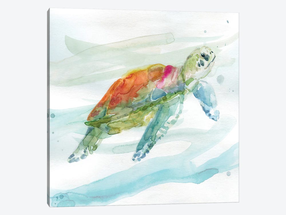 Turtle Tropics I by Carol Robinson 1-piece Canvas Artwork
