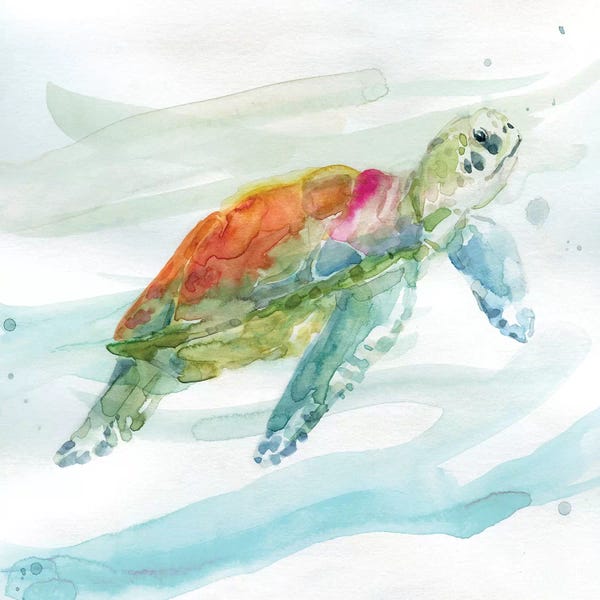 Turtles: Turtle Tropics I by Carol Robinson