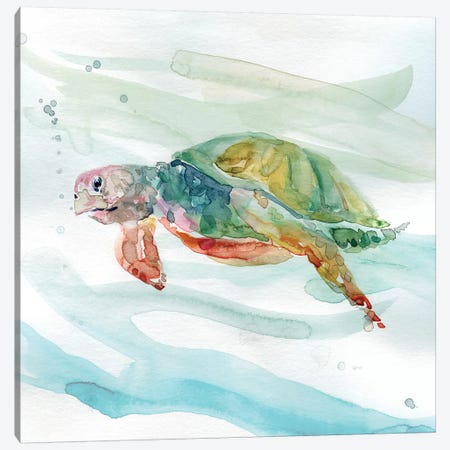 Turtle Tropics II Canvas Print #CRO483} by Carol Robinson Canvas Print
