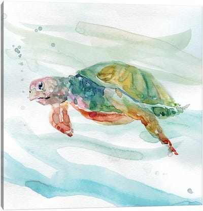 Turtle Tropics II Canvas Art Print - Reptile & Amphibian Art