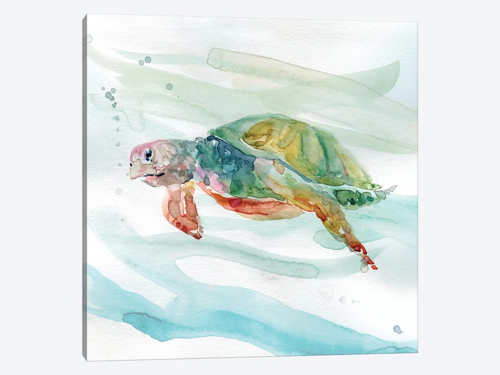 Turtle Tropics II by Carol Robinson 1-piece Canvas Art Print