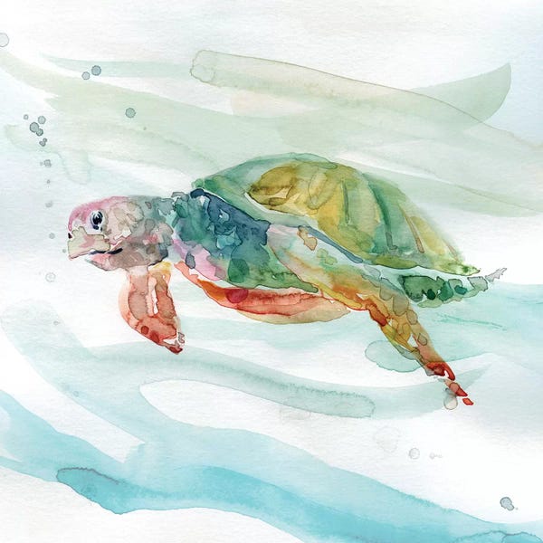 Reptiles & Amphibians: Turtle Tropics II by Carol Robinson