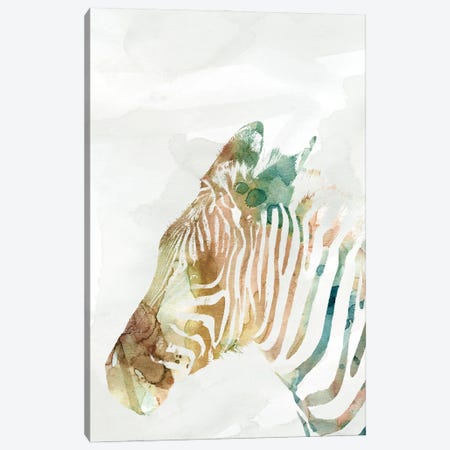 African Colors Zebra Canvas Print #CRO487} by Carol Robinson Canvas Art