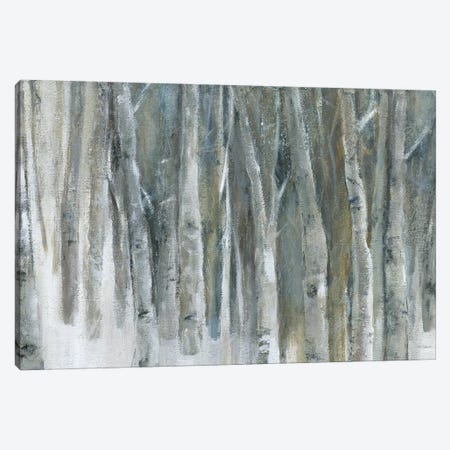Banff Birch Grove Canvas Print #CRO488} by Carol Robinson Art Print