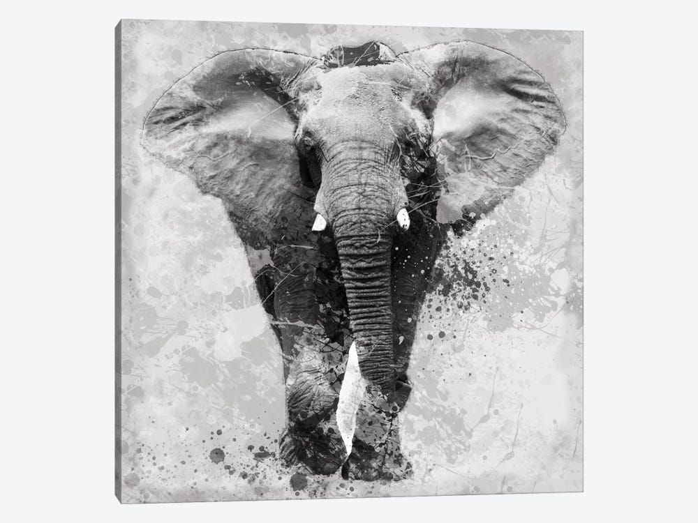 Proud Elephant by Carol Robinson 1-piece Canvas Art Print