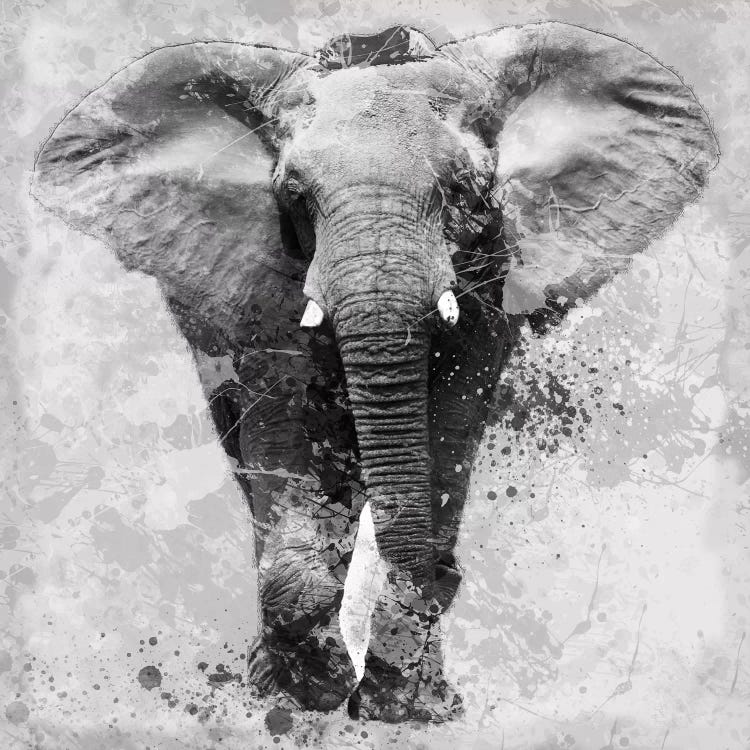 Proud Elephant by Carol Robinson wall art