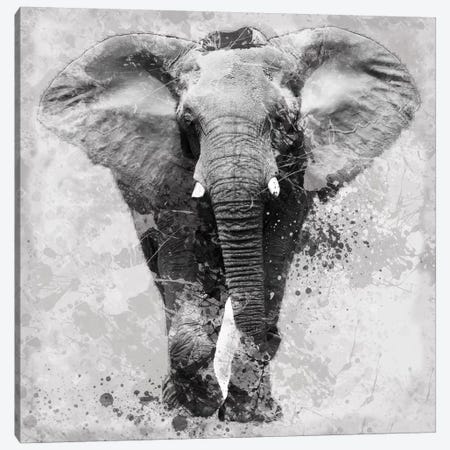 Proud Elephant Canvas Print #CRO48} by Carol Robinson Canvas Artwork