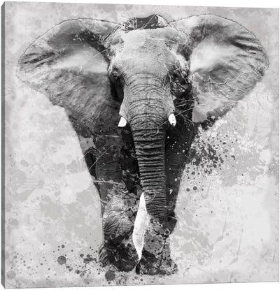 Proud Elephant Canvas Art Print - Black & White Animal Art