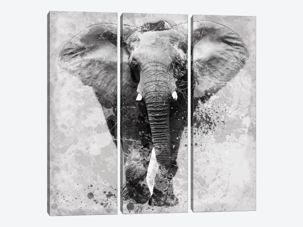 Proud Elephant by Carol Robinson 3-piece Canvas Print