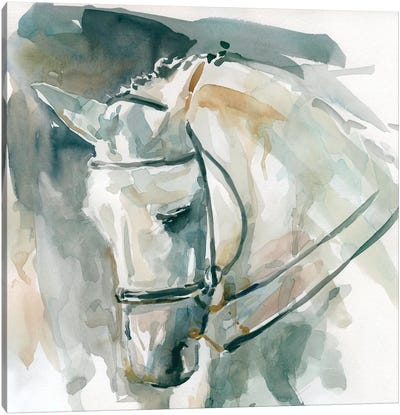Bound For Home Canvas Art Print - Horse Art