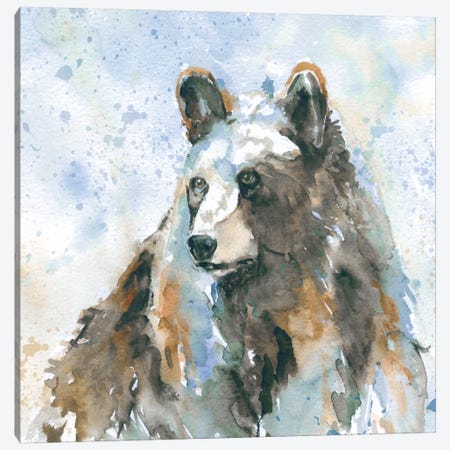 Black Bear On Blue Canvas Print #CRO4} by Carol Robinson Art Print