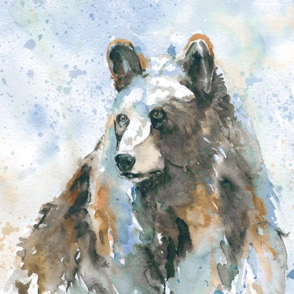 Bears: Black Bear On Blue by Carol Robinson