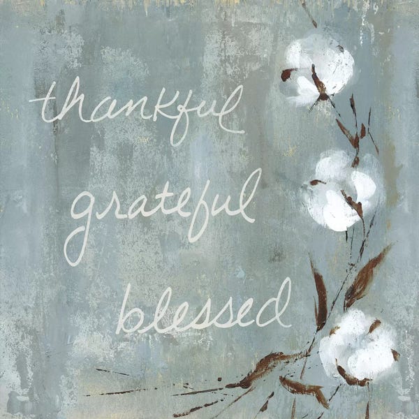 Cotton: Cotton Thankful by Carol Robinson