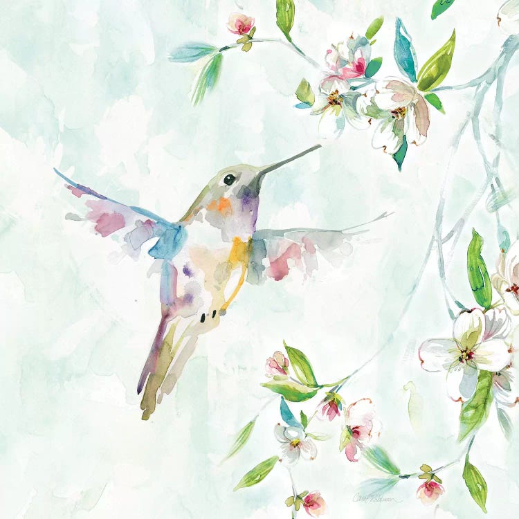 Hummingbird I