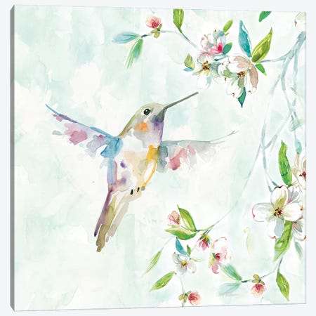 Hummingbird I Canvas Print #CRO522} by Carol Robinson Canvas Wall Art