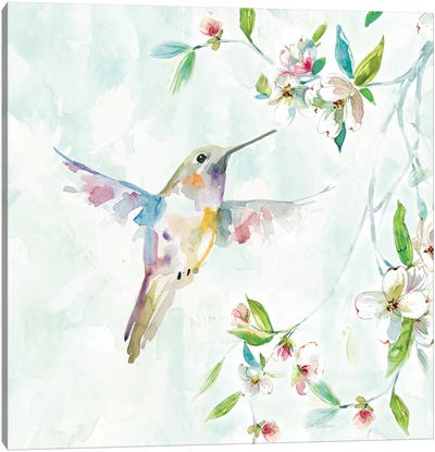 Hummingbird I Canvas Art Print - Carol Robinson