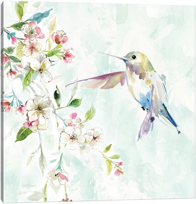 Hummingbird IV Canvas Art Print - Hummingbird Art