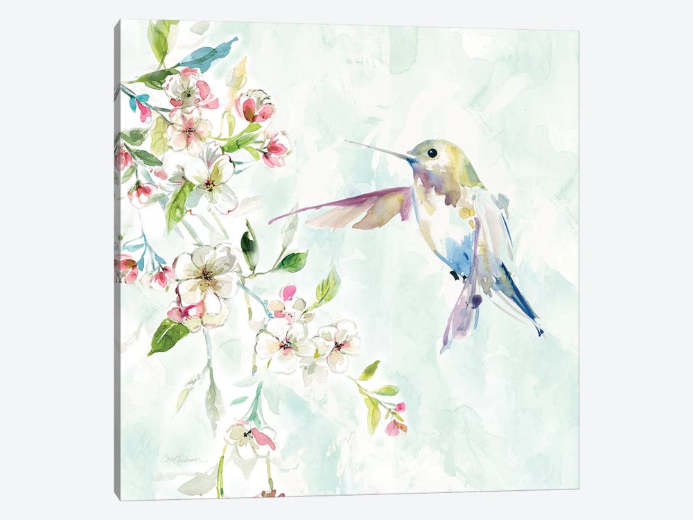 Hummingbird IV by Carol Robinson 1-piece Canvas Art