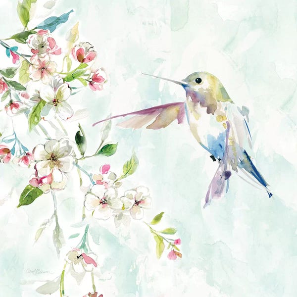 Hummingbird IV