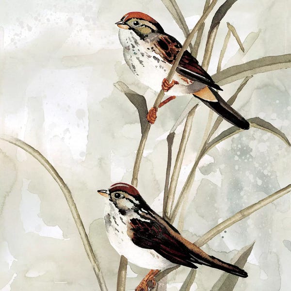 Cabin & Lodge Décor: Neutral Spring II by Carol Robinson