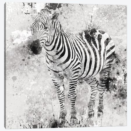 Zebra I Canvas Print #CRO53} by Carol Robinson Art Print