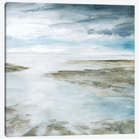 Shimmering Tides Canvas Print #CRO542} by Carol Robinson Canvas Art