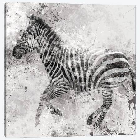 Zebra II Canvas Print #CRO54} by Carol Robinson Canvas Artwork