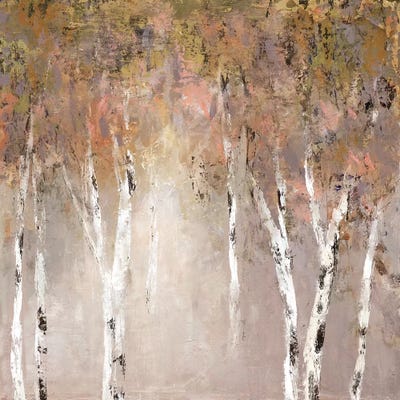 Sunlit Birch I by Carol Robinson canvas print