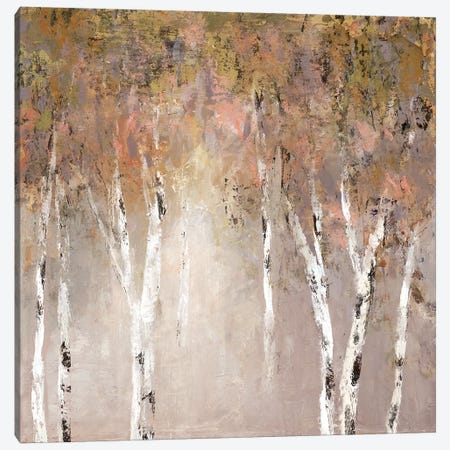 Sunlit Birch I Canvas Print #CRO550} by Carol Robinson Canvas Art Print