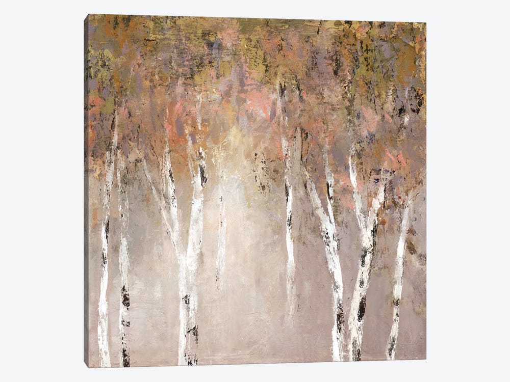 Sunlit Birch I by Carol Robinson 1-piece Canvas Wall Art