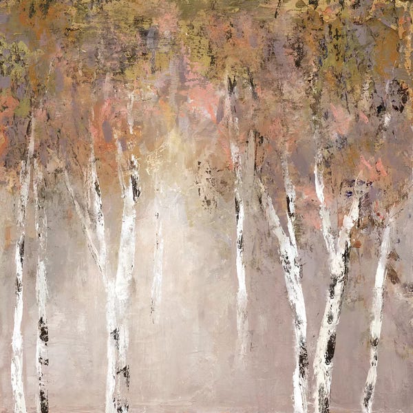 Birch Trees: Sunlit Birch I by Carol Robinson