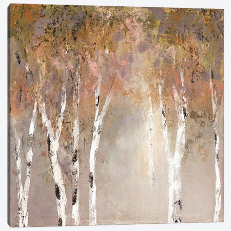 Sunlit Birch II Canvas Print #CRO551} by Carol Robinson Canvas Print